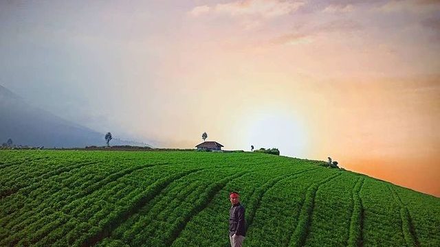 Img: Instagram/@brakseng