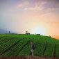 wisata malang