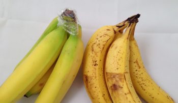 Img: Instructable