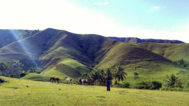 Instagram/@desinafalia