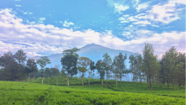 Nurlailatul Hidayah - MEI