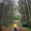 Wisata di Lembang, Jawa Barat. Foto: instagram/@haerudin_ahdi