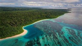 Img: Instagram/@brucelevick