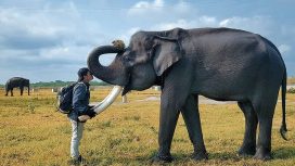 Img: Instagram/@@sihab.q