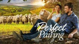 Img: yoursay.suara.com