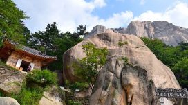 Img: positiveimpactjourney.com