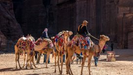 Img: pixabay.com - Mikael Thunberg