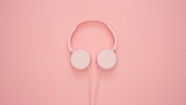 Img: pexels.com - Moose Photos