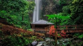 img: instagram.com/rizki_syafari