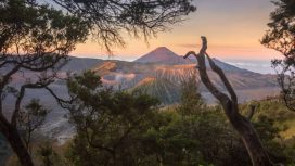 img: instagram.com/misbahafef27