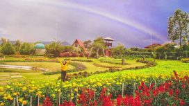 Img: Instagram/ rarakhaswarani