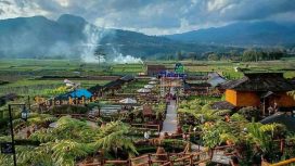 img: instagram.com/the1o1malangoj