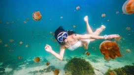 Img: Instagram/@borneodiving