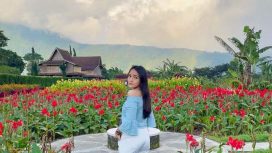 Img: Facebook/Hot Chocolate House