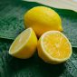 tips menyimpan lemon agar tetap segar berbulan-bulan