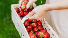 Img: Pexels/Karolina-Grabowska