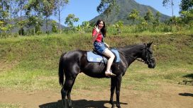 Img: Maps/Garry Reverio