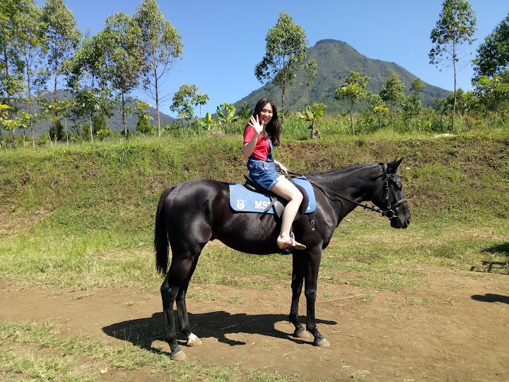 Rekomendasi Liburan Sambil Berkuda di Indonesia