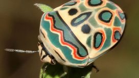 img: instagram.com/jerrysaltz