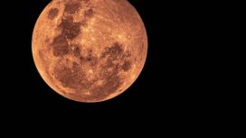 Img: Pexels/Johan-de-beer-