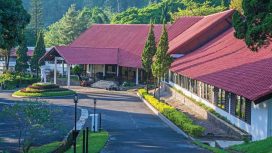 Img: https:grandwhiz.com