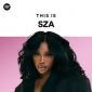 Lirik Lagu Nobody Gets Me - SZA