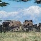 Cek Fakta: Berat Awan Setara Ratusan Gajah?