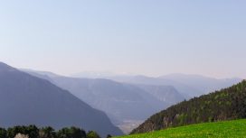 Img: Pexels/eberhard-grossgasteiger