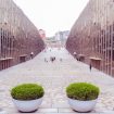 Img: pexels-andrea-de-santis