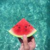 Img: pexels-elaine-bernadine
