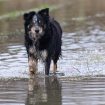 Img: pexels-theother-kev