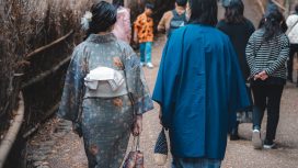 Img: pexels-willian-justen-de-vasconcellos
