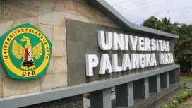 Img: https://www.upr.ac.id/