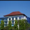 Img: https://www.undip.ac.id/
