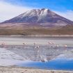 Img: Pexels/Janeth Charris