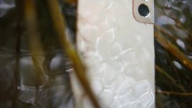 Img: pexel.com