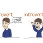Introvert dan Ekstrovert