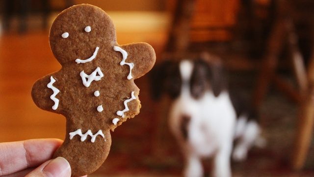 Ilustrasi Kue Kering (Img: pexels.com/noelleotto)