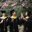 Ilustrasi Lulusan Sarjana (img: pexels.com by george pak)