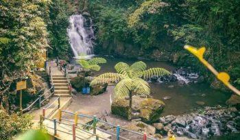 Ilustrasi Air Terjun Muara Jaya (img: disparbud.majalengkakab.go.id)