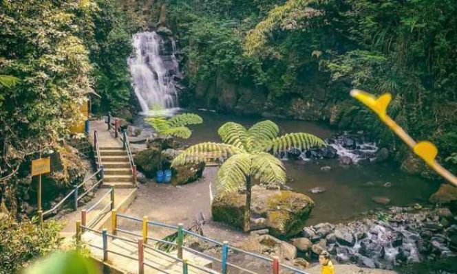 
Ilustrasi Air Terjun Muara Jaya (img: disparbud.majalengkakab.go.id)