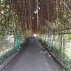Ilustrasi Kebun Kota Balas Klumprik (img: bappedalitbang.surabaya.go.id)
