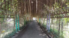 Ilustrasi Kebun Kota Balas Klumprik (img: bappedalitbang.surabaya.go.id)