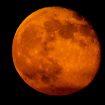 Ilustrasi Hunter Supermoon (img: national geograpic)