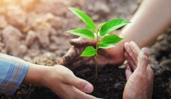 Ilustrasi Menanam Tumbuhan (img: pixabay.com)
