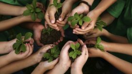 Ilustrasi Menanam Bibit Tanaman (img: pixabay.com)