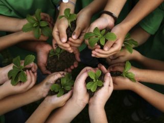 Ilustrasi Menanam Bibit Tanaman (img: pixabay.com)