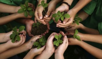 Ilustrasi Menanam Bibit Tanaman (img: pixabay.com)