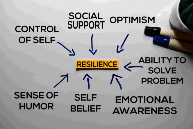 
Ilustrasi Resilience (img: kuncie)