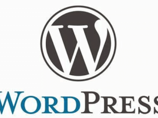 Ilustrasi Wordpress (img: coding studio)